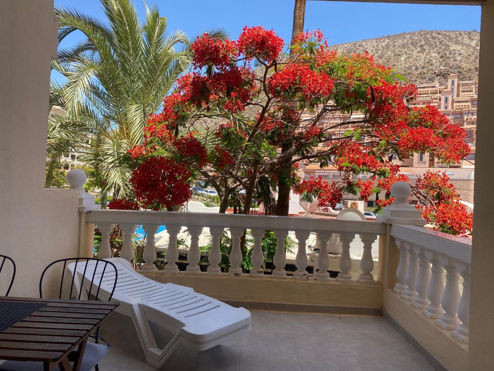Castle Harbour Samuel'S Studio Flat By Lovetenerife Los Cristianos  Extérieur photo